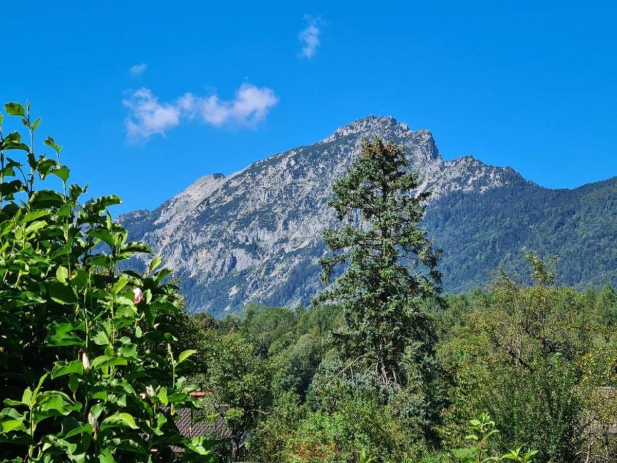 Ferienwohnungen Sommer Bayerisch Gmain Luaran gambar